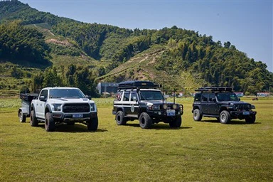 Tag-top telt hatchback